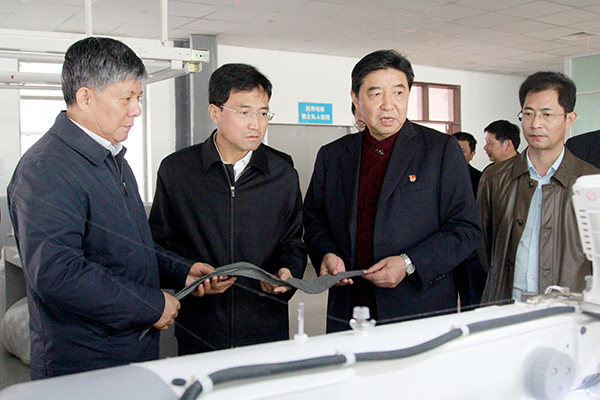 安徽省人大常委會劉明波副主任蒞臨集團(tuán)考察調(diào)研